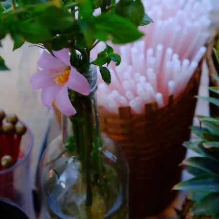 度假居 Ombu Casa Particular 鲁比科内河畔萨维纳诺