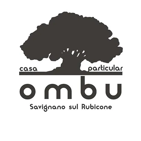 Ombu Casa Particular 度假居