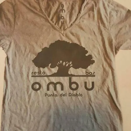Ombu Casa Particular *