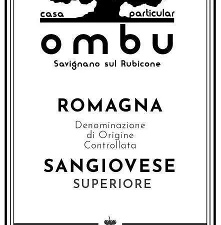 Ombu Casa Particular 度假居 *